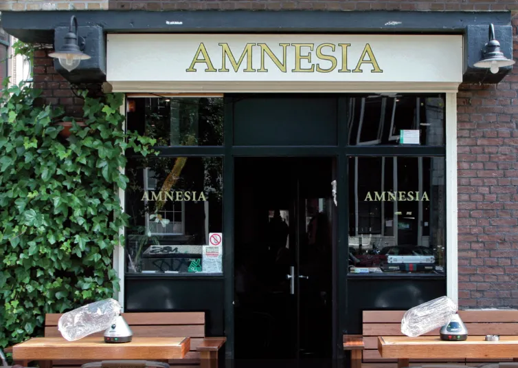 Amnesia