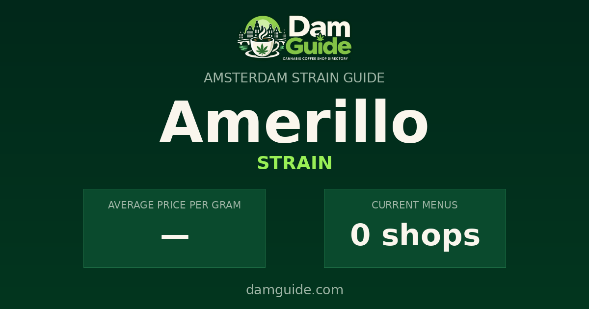 Amerillo: average price and number of shops