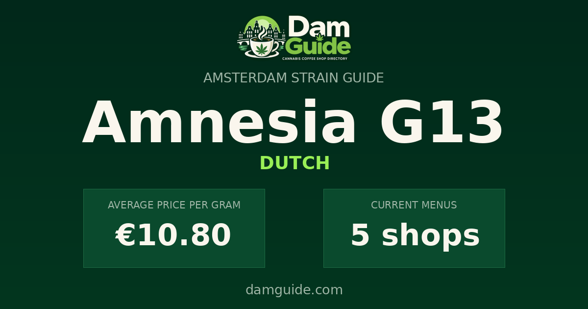 Amnesia G13: average price and number of shops