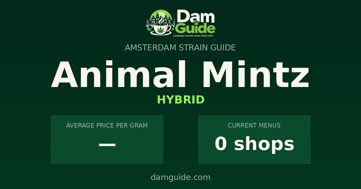 Animal Mintz: average price and number of shops