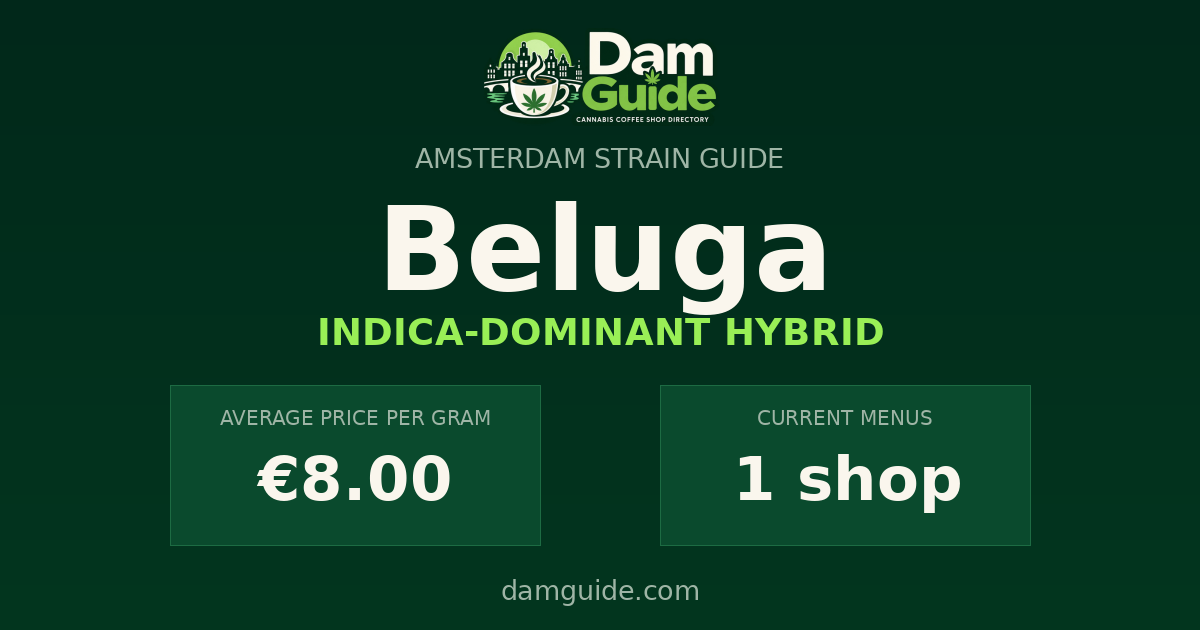 Beluga: average price and number of shops