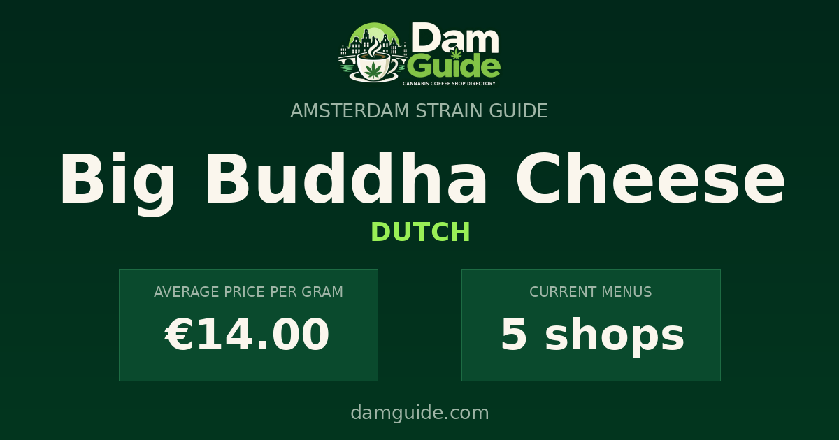 Big Buddha Cheese: average price and number of shops