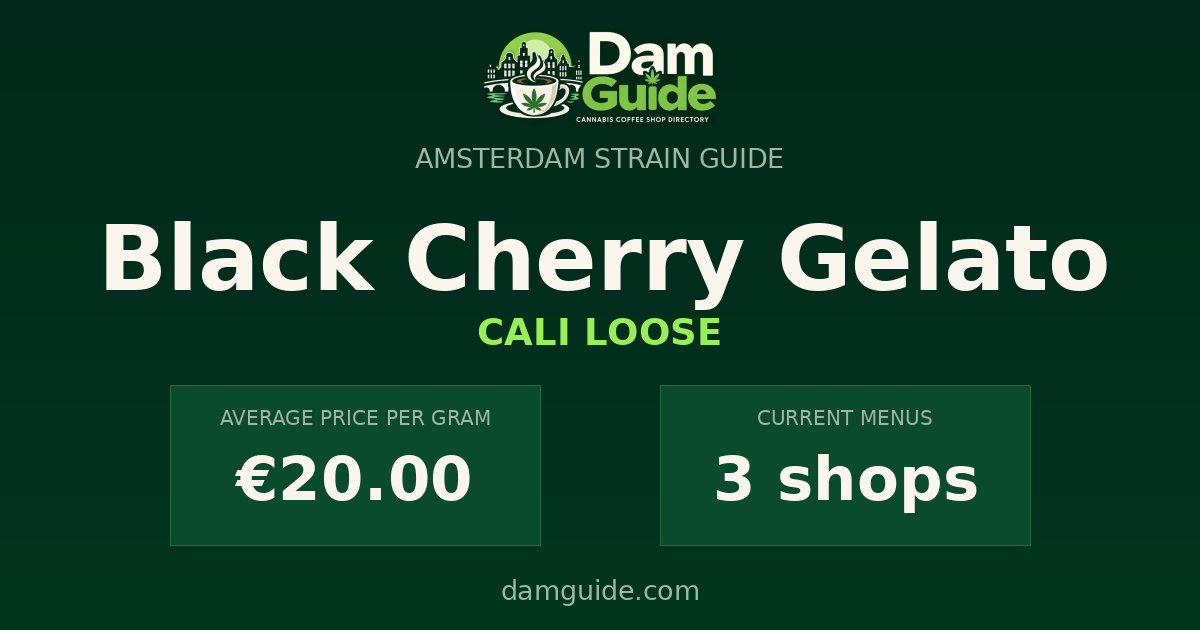 Black Cherry Gelato: average price and number of shops