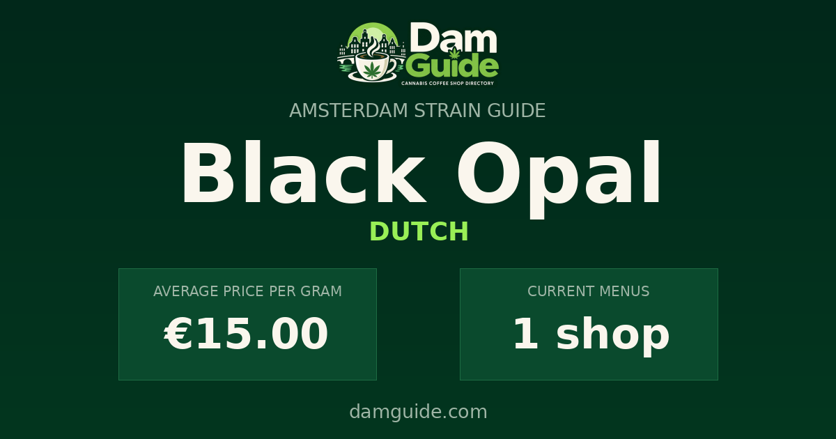 Black Opal: average price and number of shops