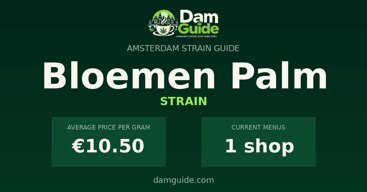 Bloemen Palm: average price and number of shops