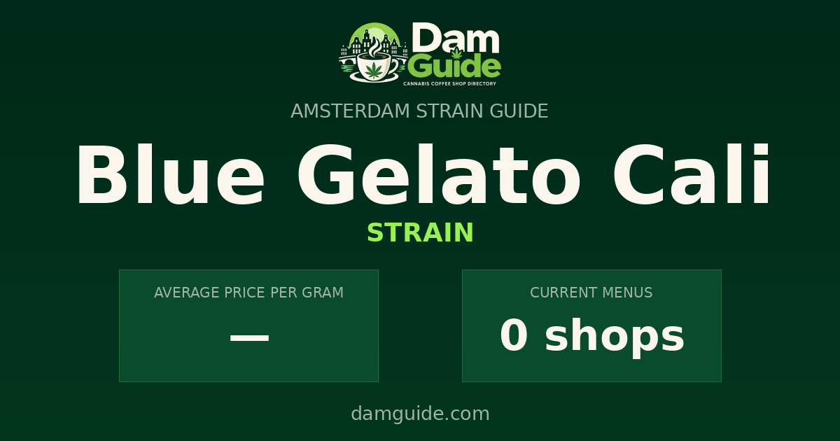 Blue Gelato Cali: average price and number of shops