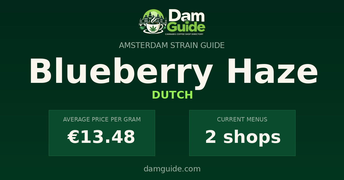 Blueberry Haze: average price and number of shops