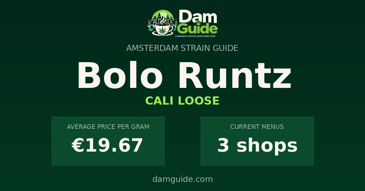 Bolo Runtz: average price and number of shops