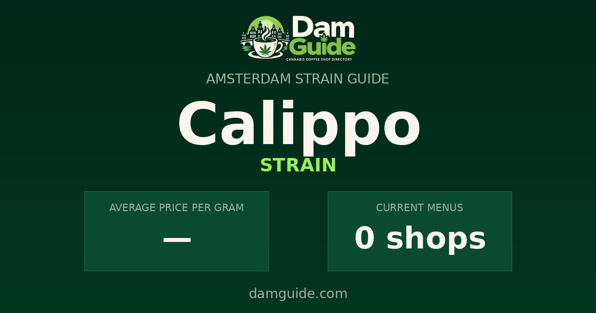 Calippo: average price and number of shops