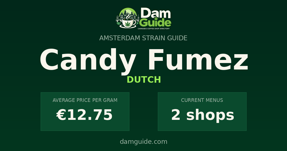 Candy Fumez: average price and number of shops