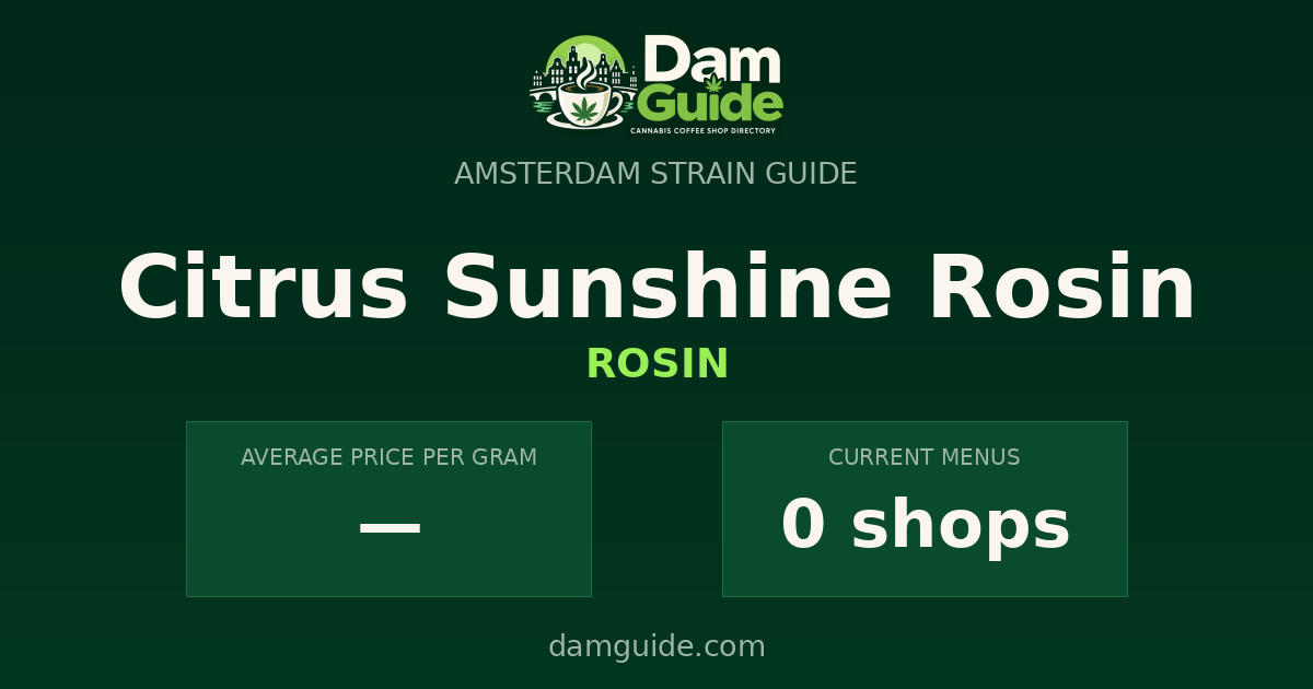 Citrus Sunshine Rosin: average price and number of shops