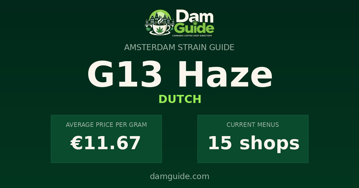 G13 Haze: average price and number of shops