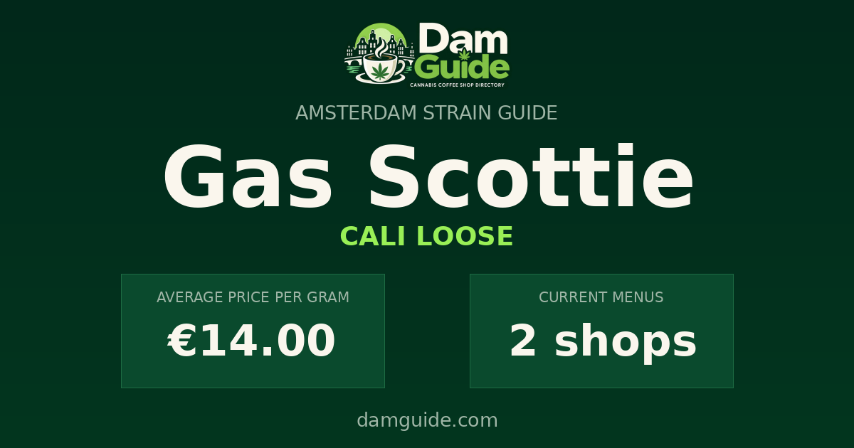 Gas Scottie: average price and number of shops