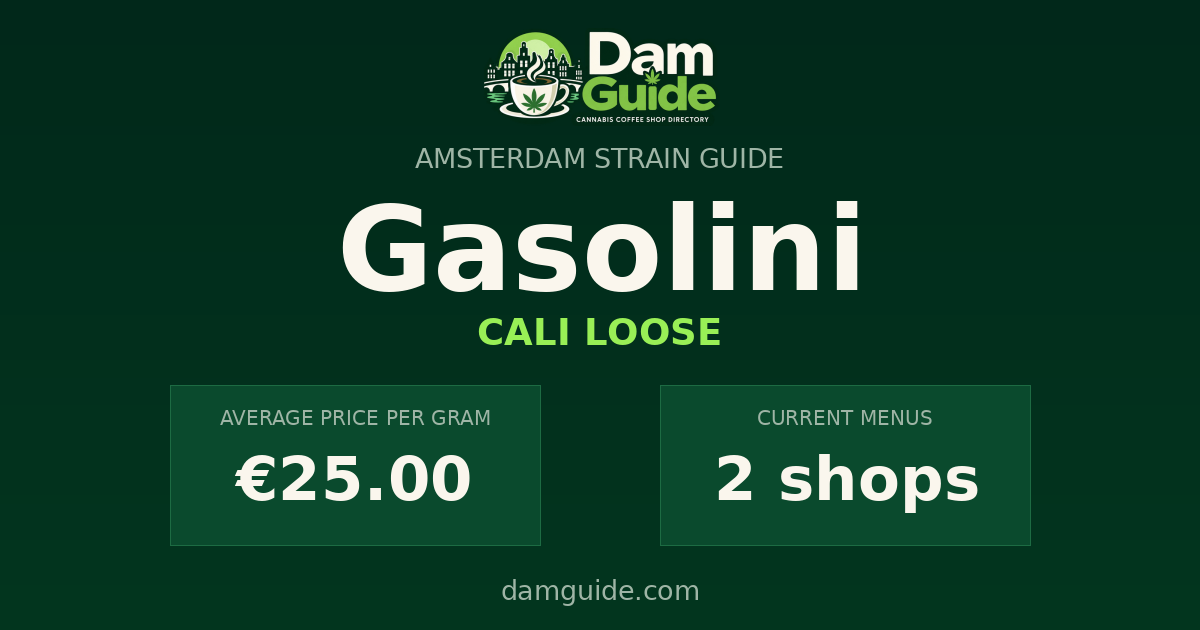 Gasolini: average price and number of shops