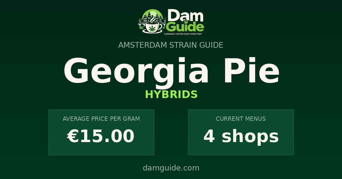 Georgia Pie: average price and number of shops