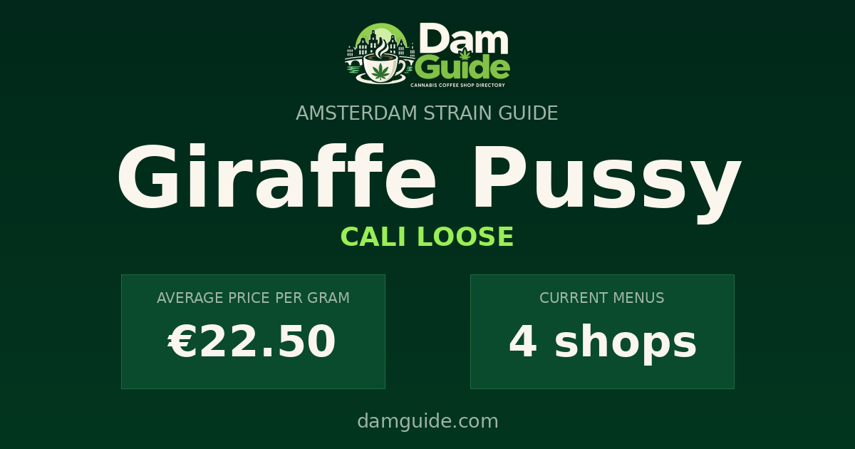 Giraffe Pussy: average price and number of shops