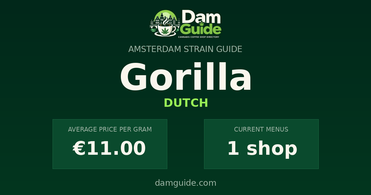 Gorilla: average price and number of shops