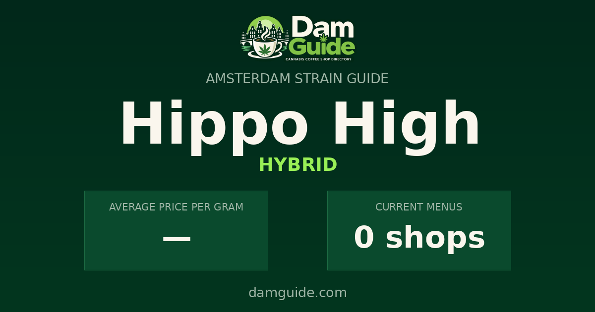 Hippo High: average price and number of shops