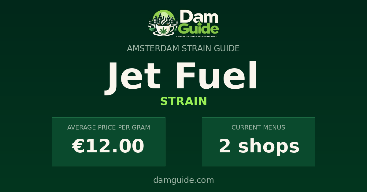 Jet Fuel: average price and number of shops