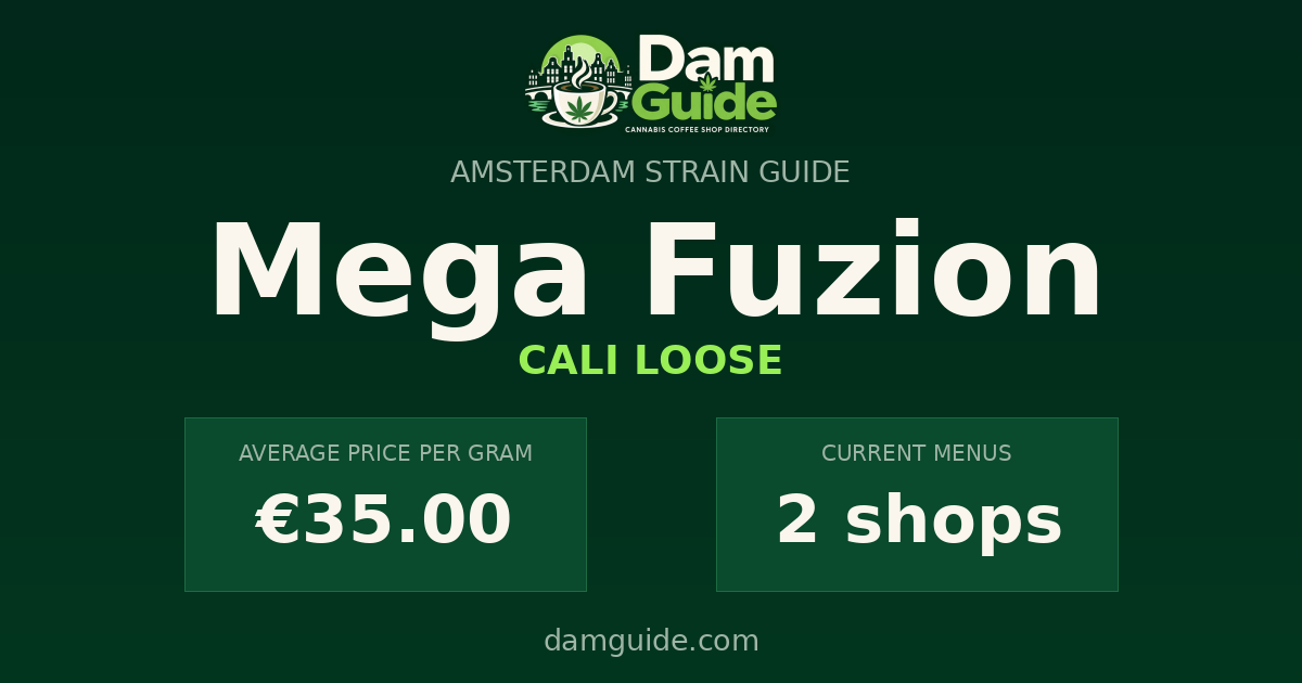 Mega Fuzion: average price and number of shops