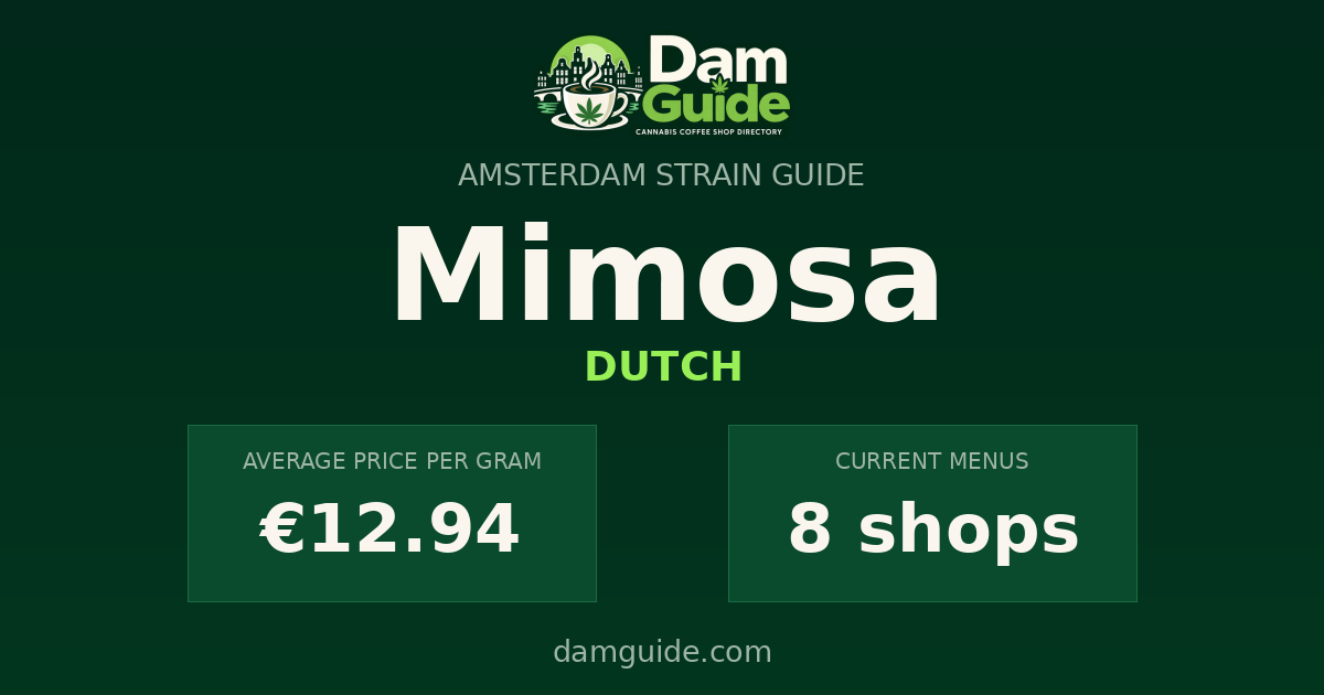 Mimosa: average price and number of shops