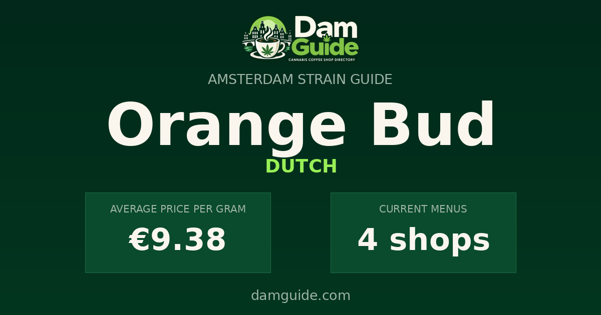Orange Bud: average price and number of shops