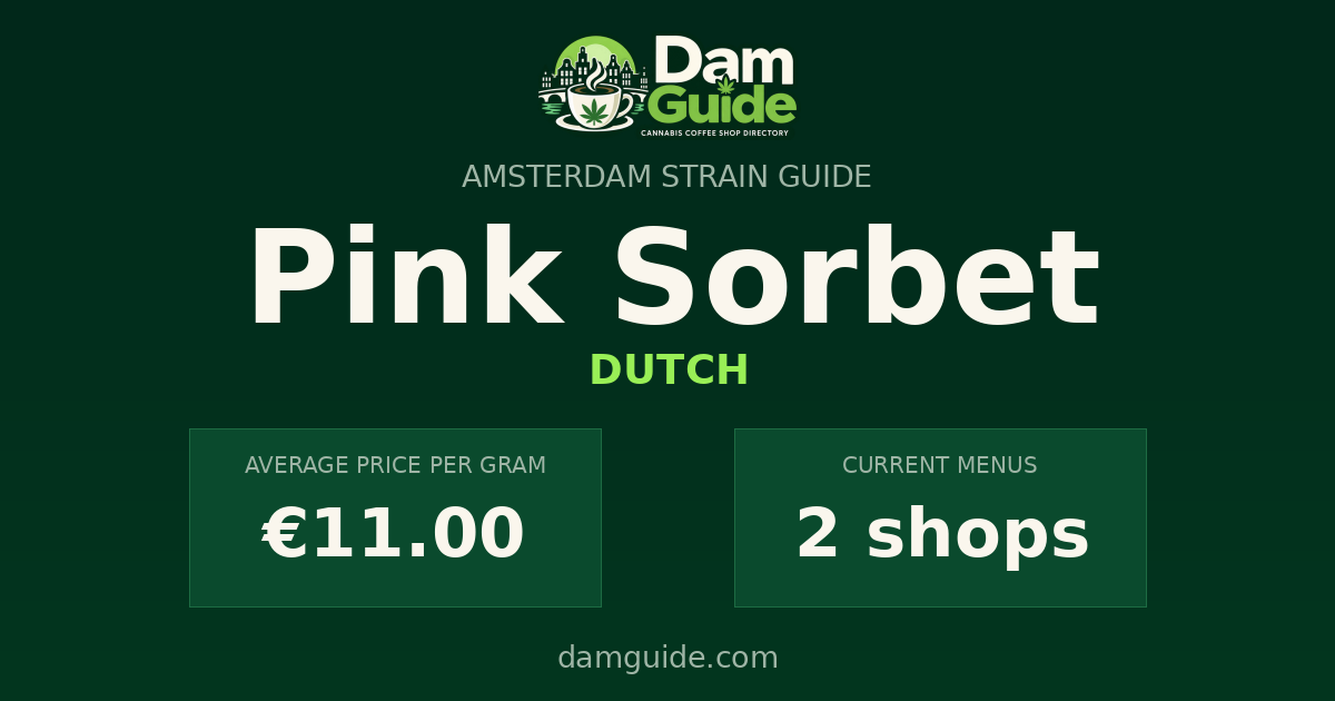 Pink Sorbet: average price and number of shops