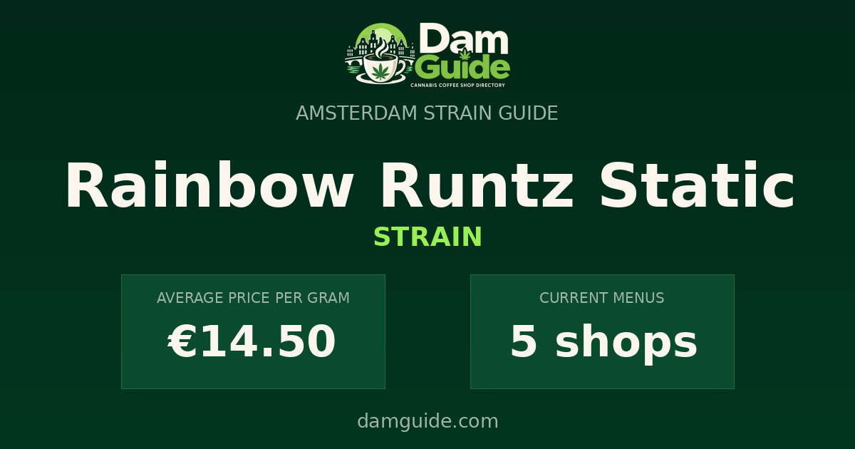 Rainbow Runtz Static: average price and number of shops