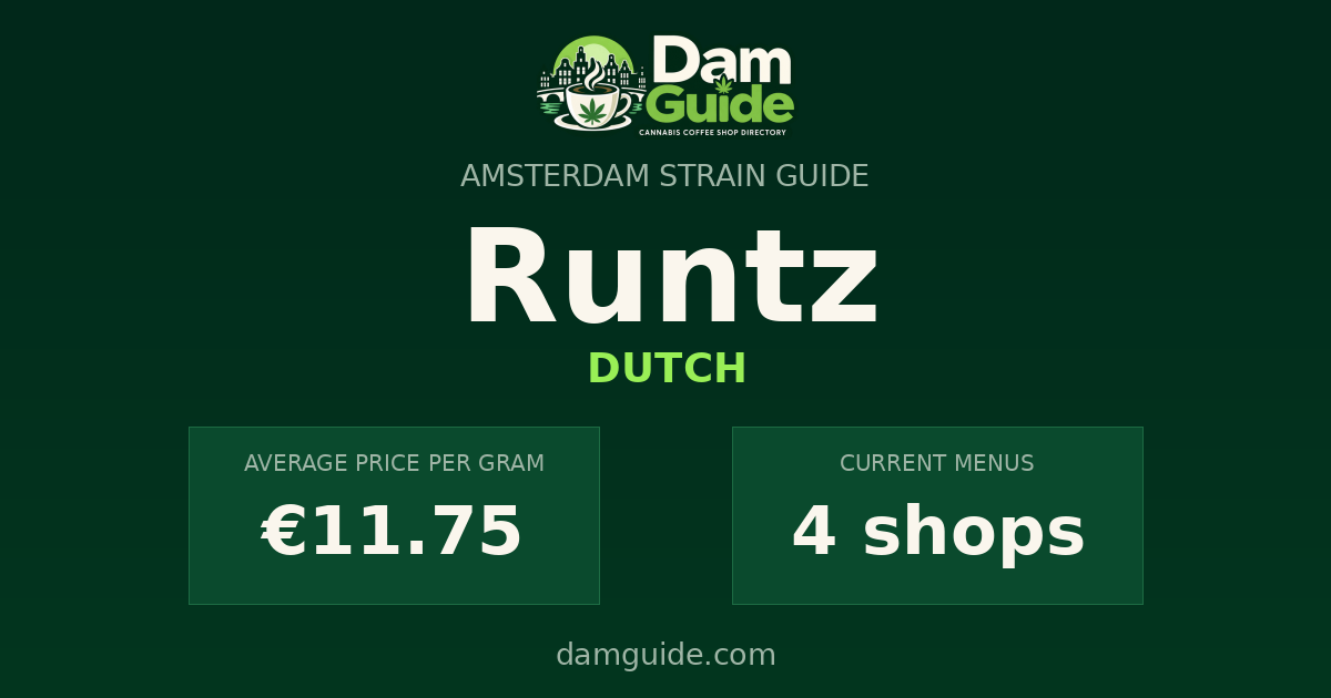 Runtz: average price and number of shops