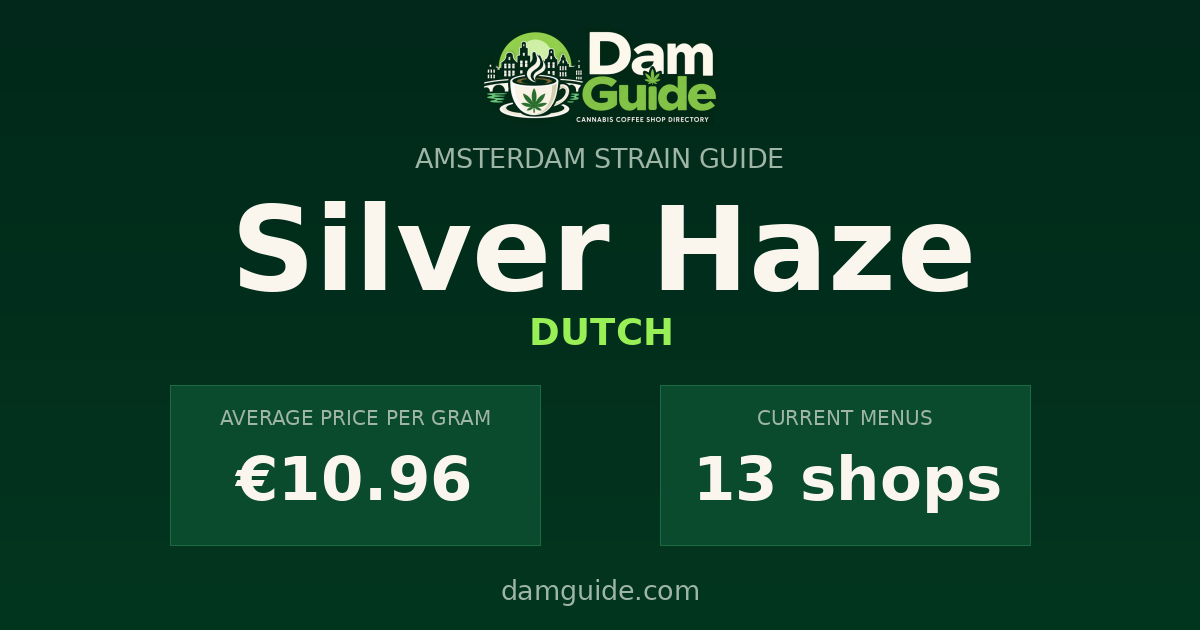 Silver Haze: average price and number of shops