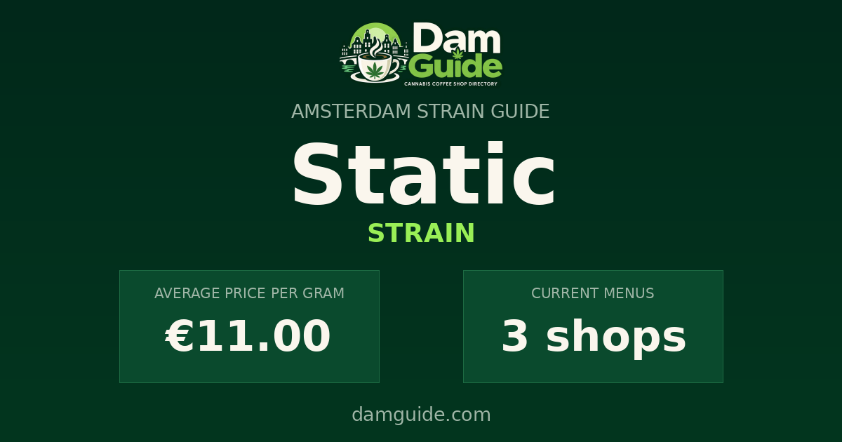 Static: average price and number of shops