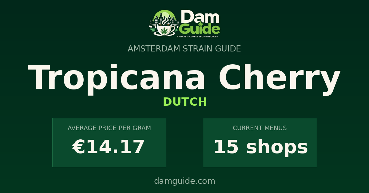 Tropicana Cherry: average price and number of shops