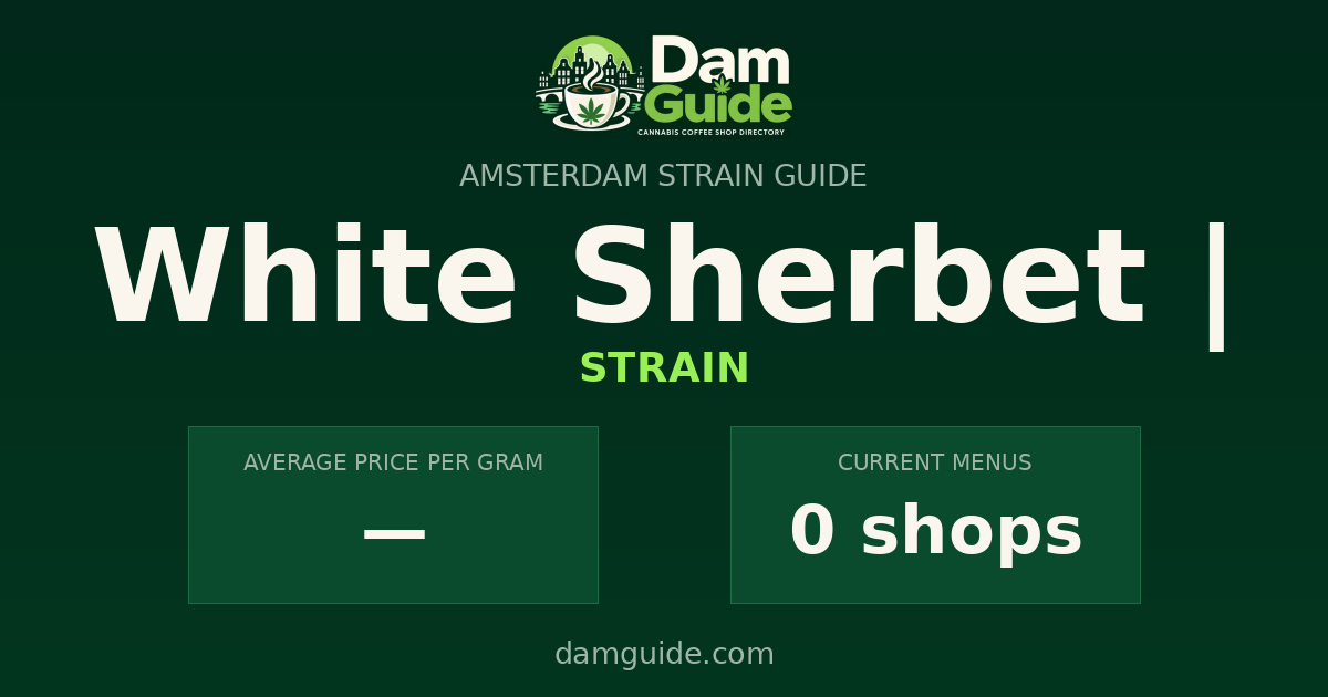 White Sherbet |: average price and number of shops