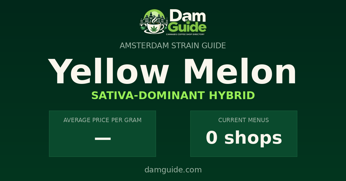 Yellow Melon: average price and number of shops