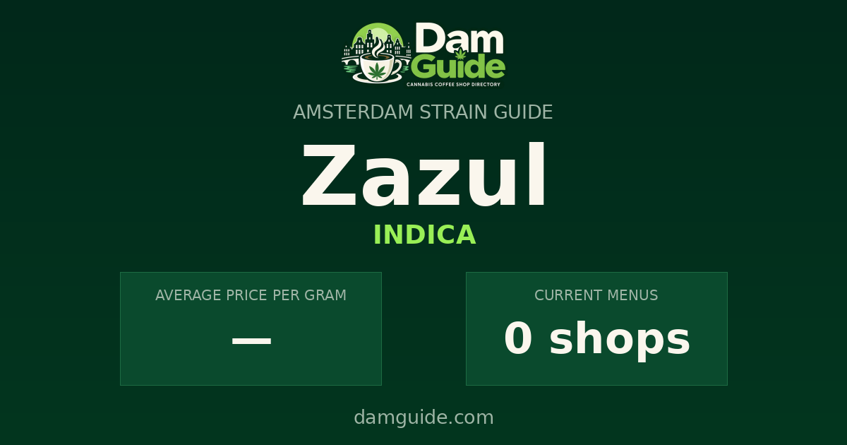 Zazul: average price and number of shops